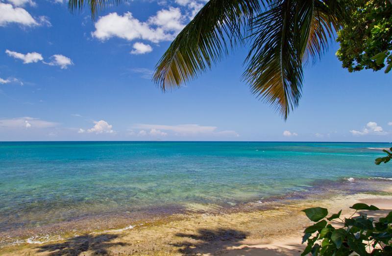 Tres Palmas Inn And Villas Rincon Buitenkant foto